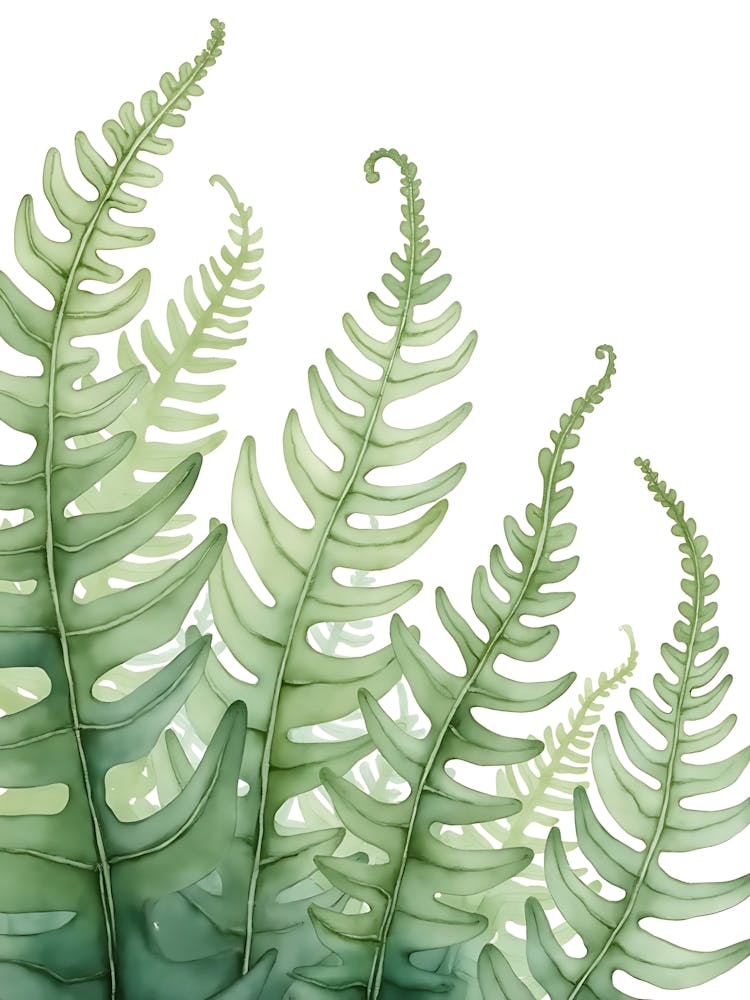 Modern Sage Green Leaf Sprays