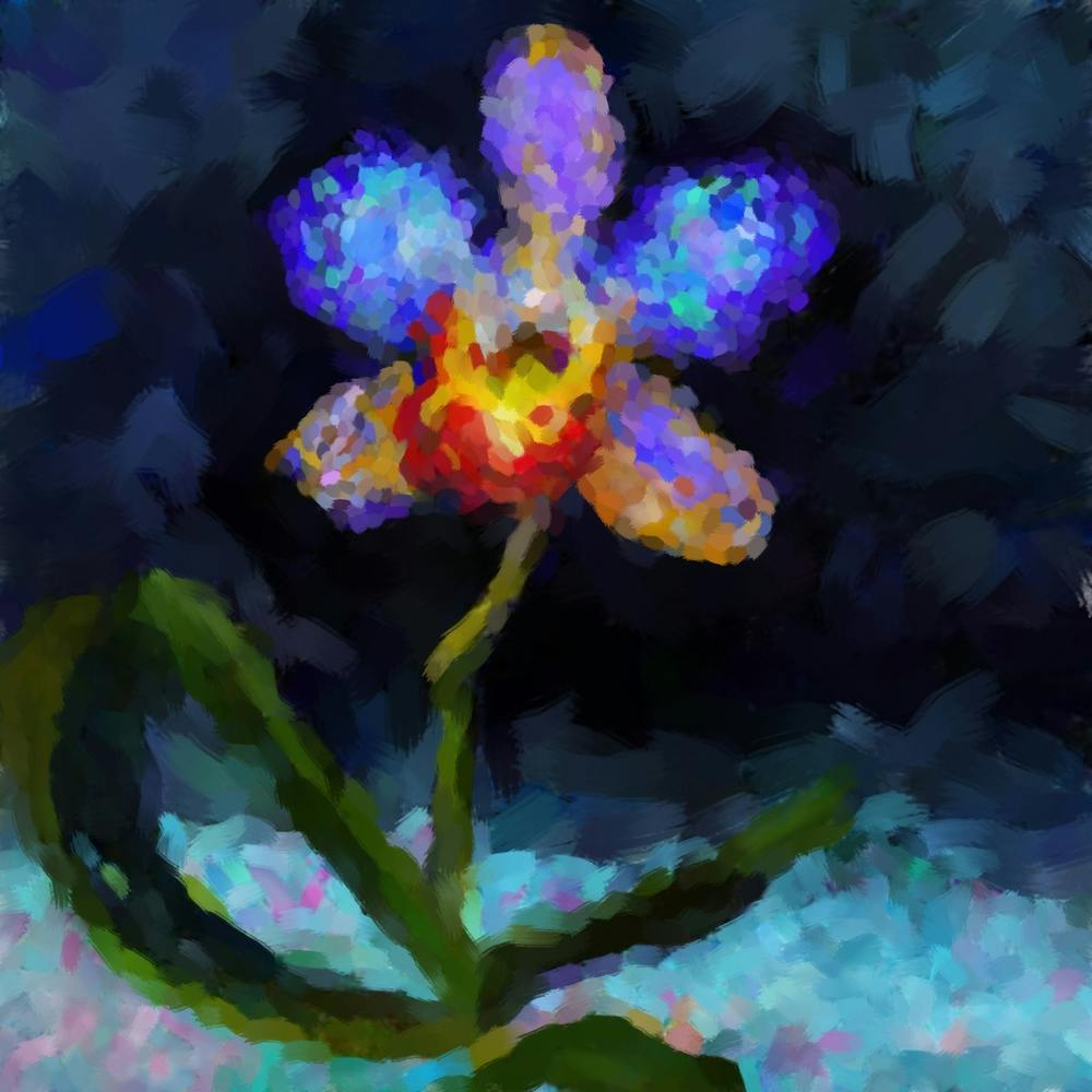 Night orchid