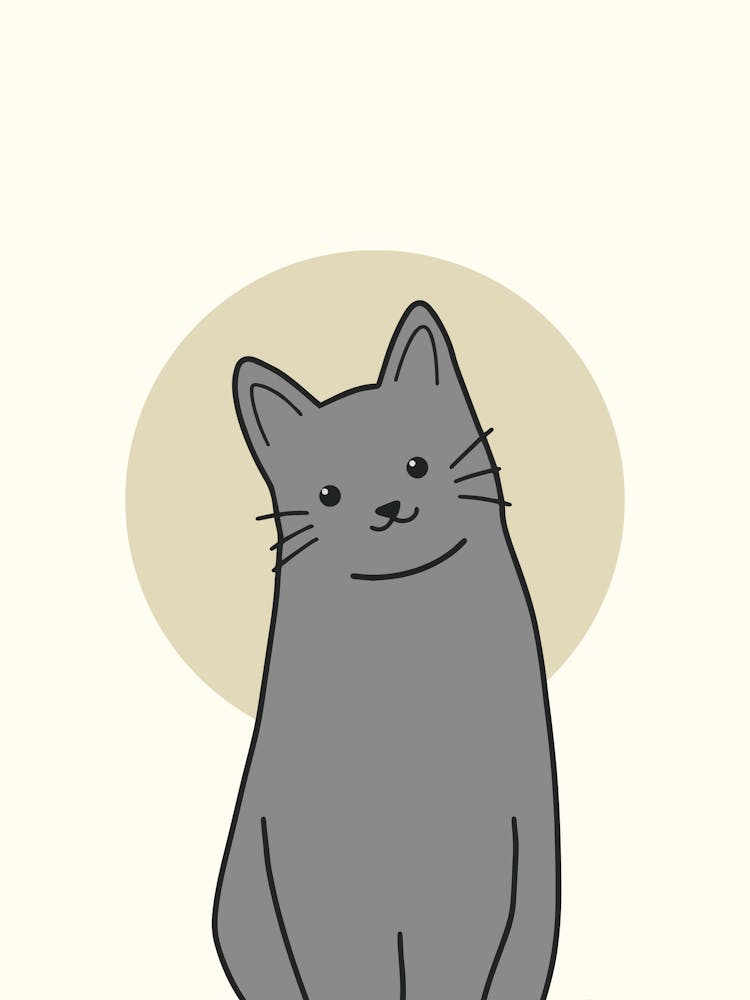 Chat gris 1