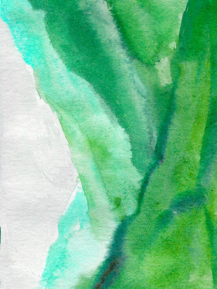 Watercolor Of Green Leaves