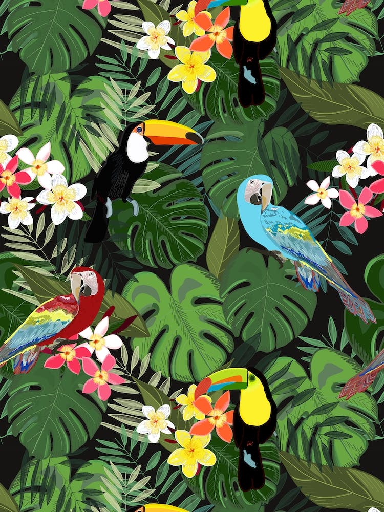 Tropical Birds