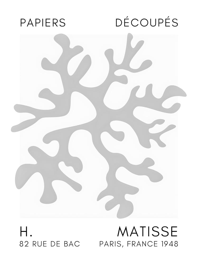 Matisse 4