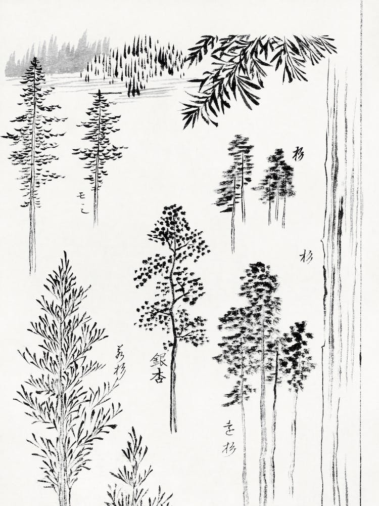 Hokusai S Pine Trees (1800 1900), Katsushika Hokusai
