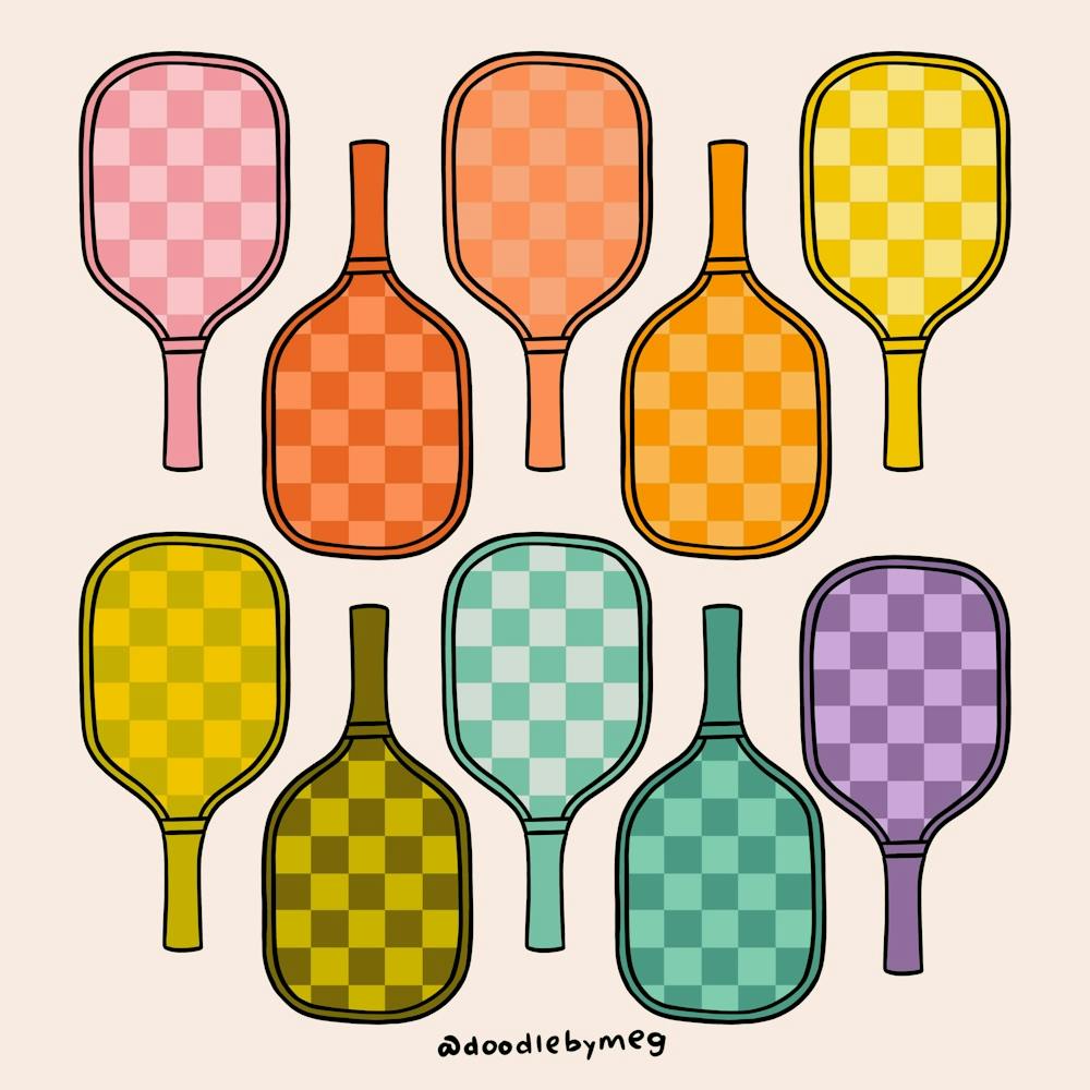 Rainbow Pickleball Paddle