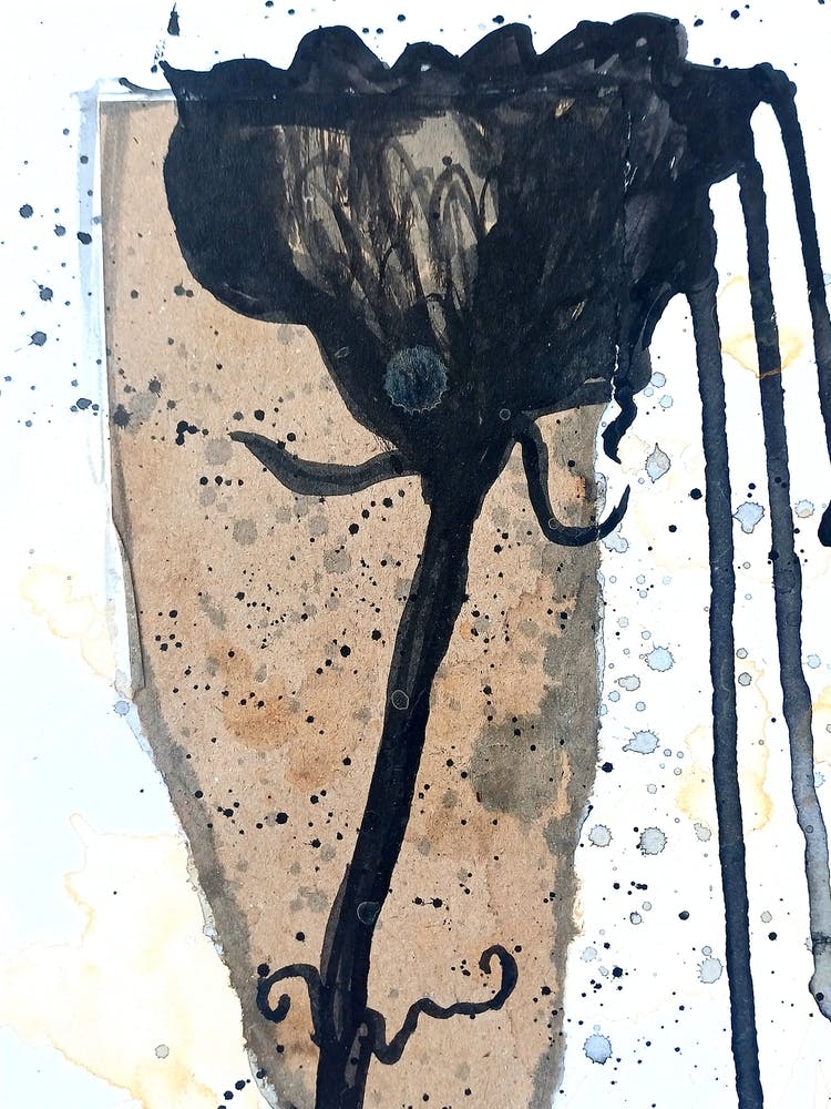 Black Rose Sillouette