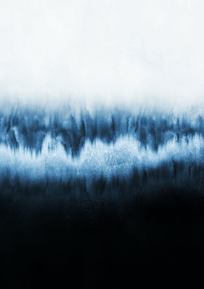 Forest Of Frost