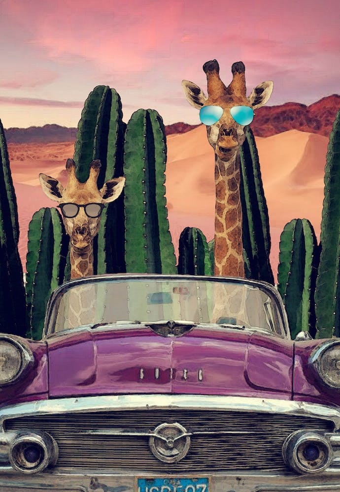 Giraffes are Cool Too