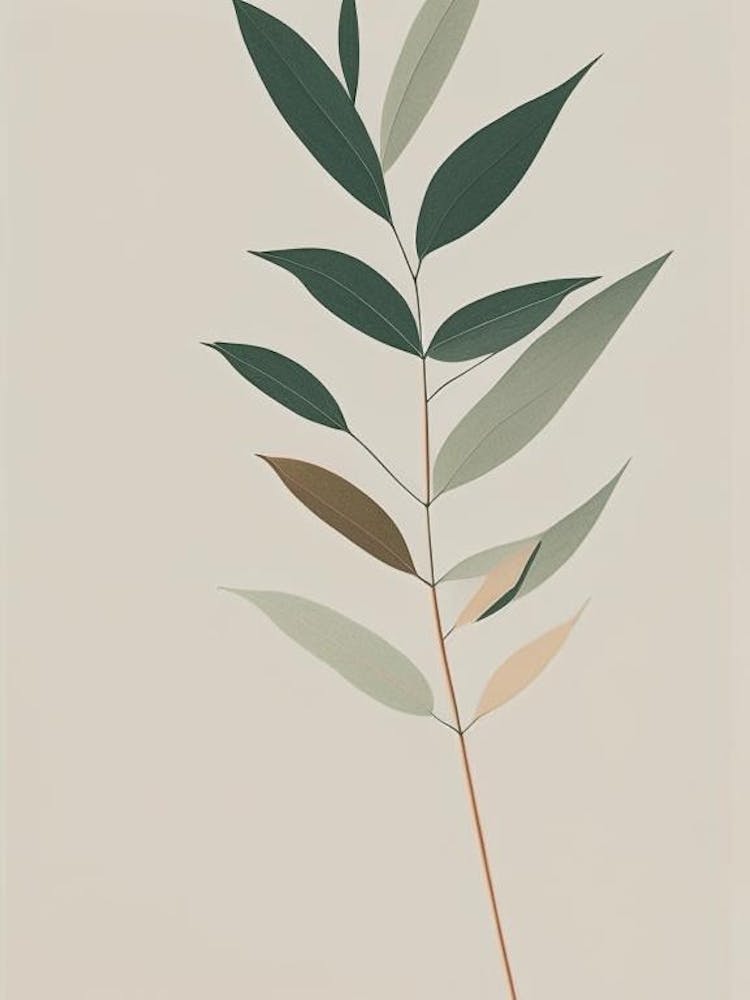 Neem Herb Simplicity