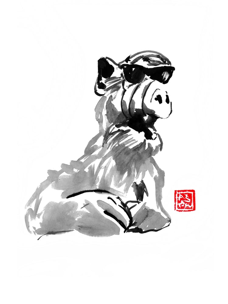 Alf Sunglasss