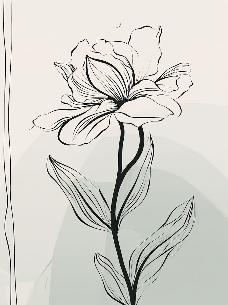 Gladioli Line Art Flowers Illustration Neutral 15