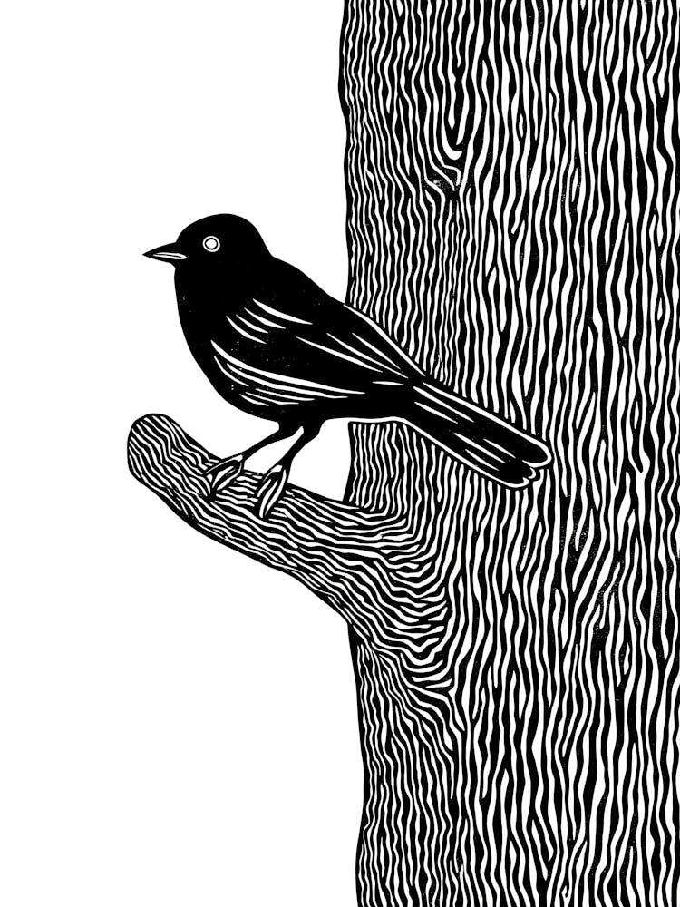 Blackbird Perched On Tree Branch