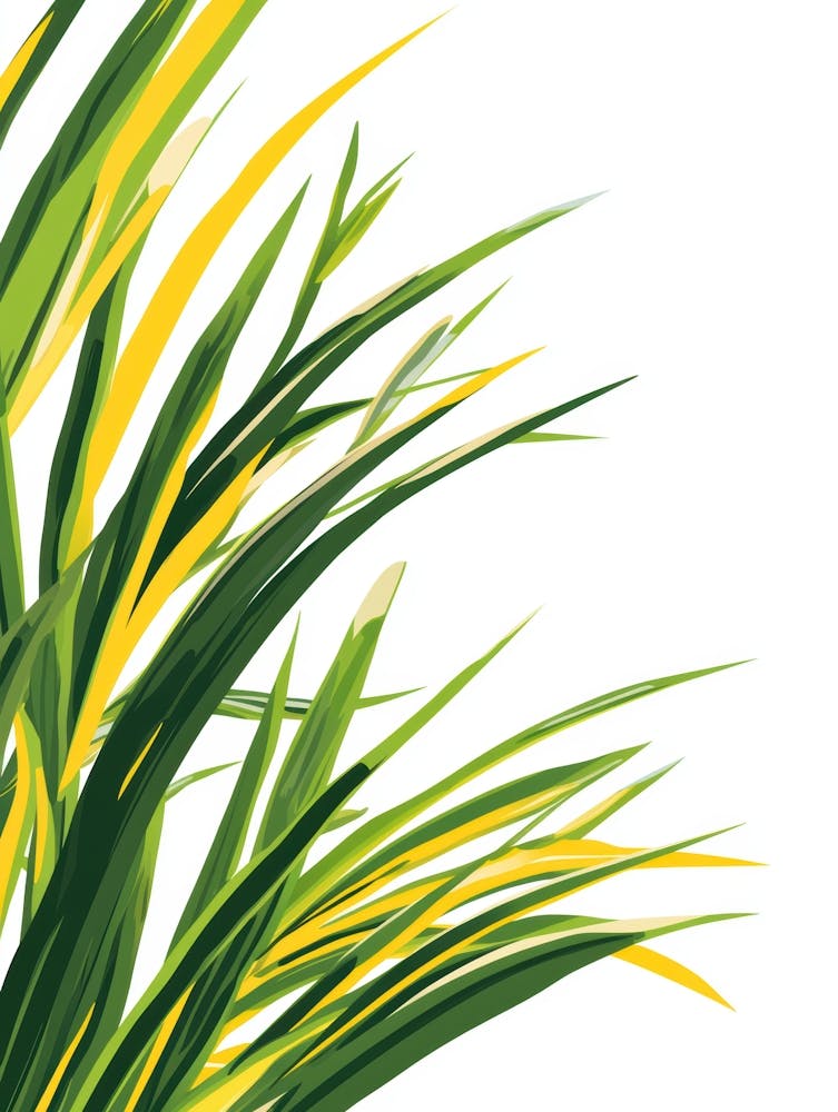 Green Grass On White Background