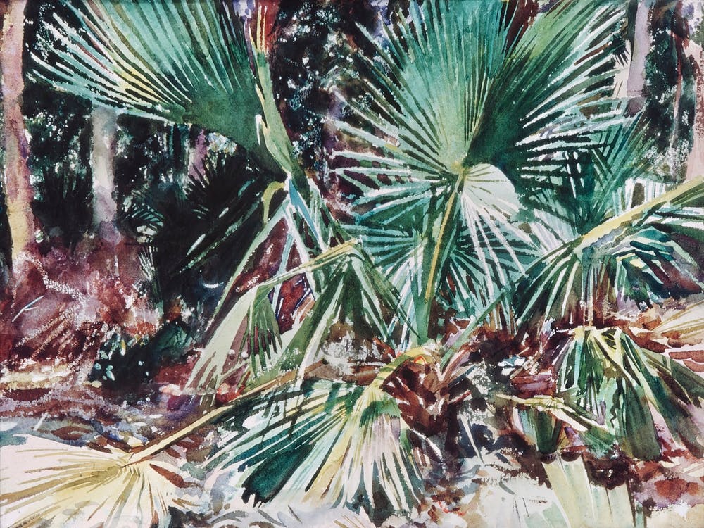 Palmettos (1917), John Singer Sargent