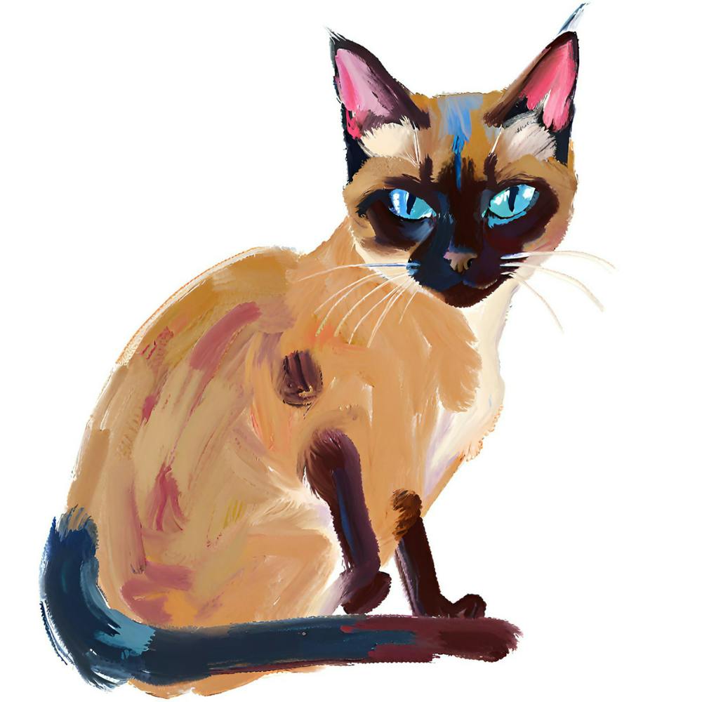 Siamese Cat 03