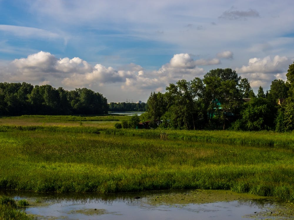 Russian Countryside