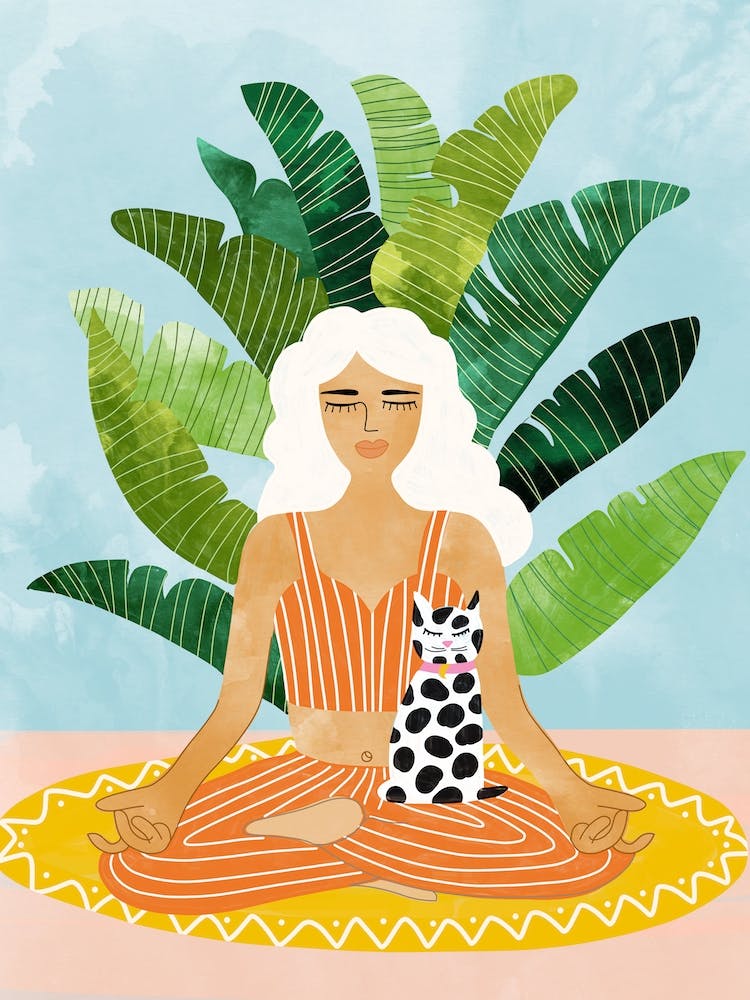 Meditation With Thy Cat