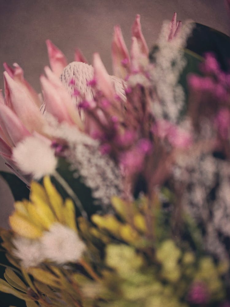 Warm Fynbos 1