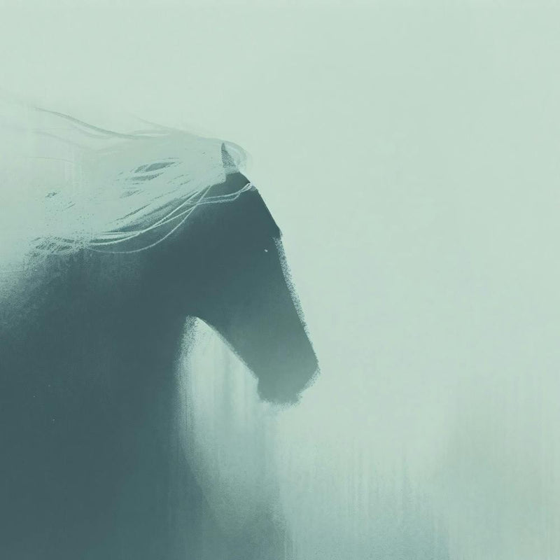 Foggy Horse