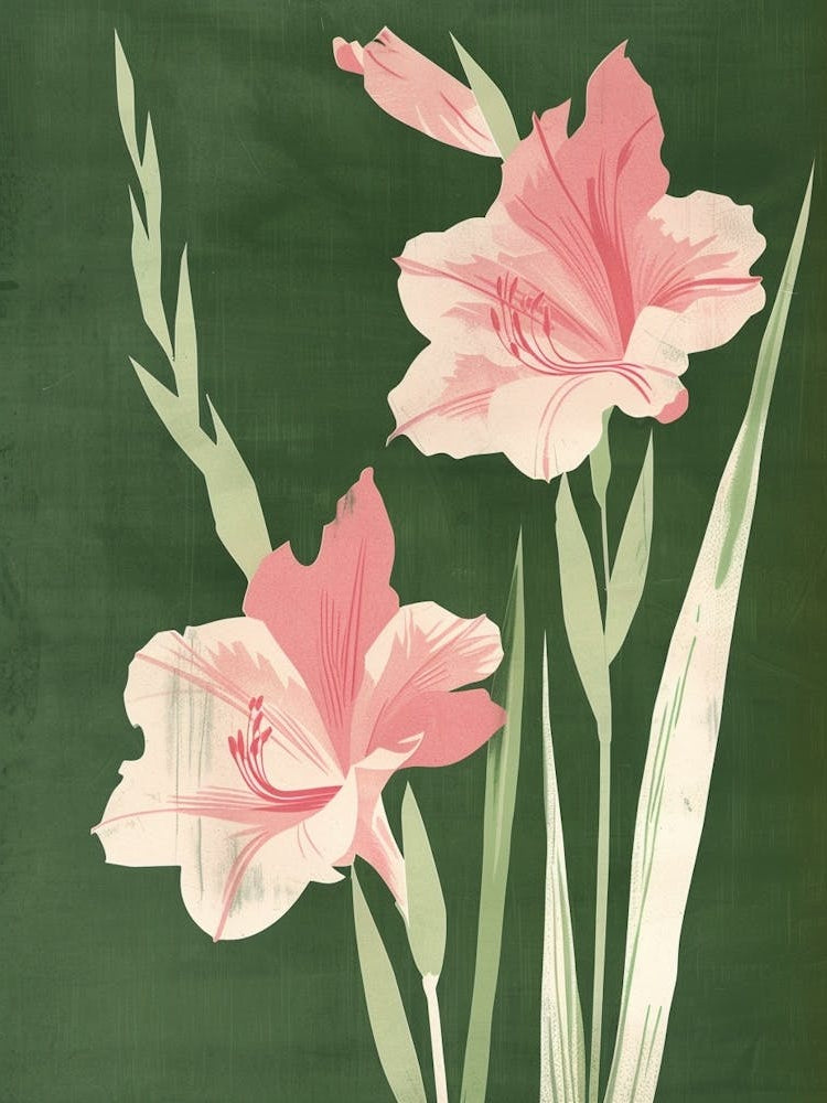 Pink & Green Gladiolus 1