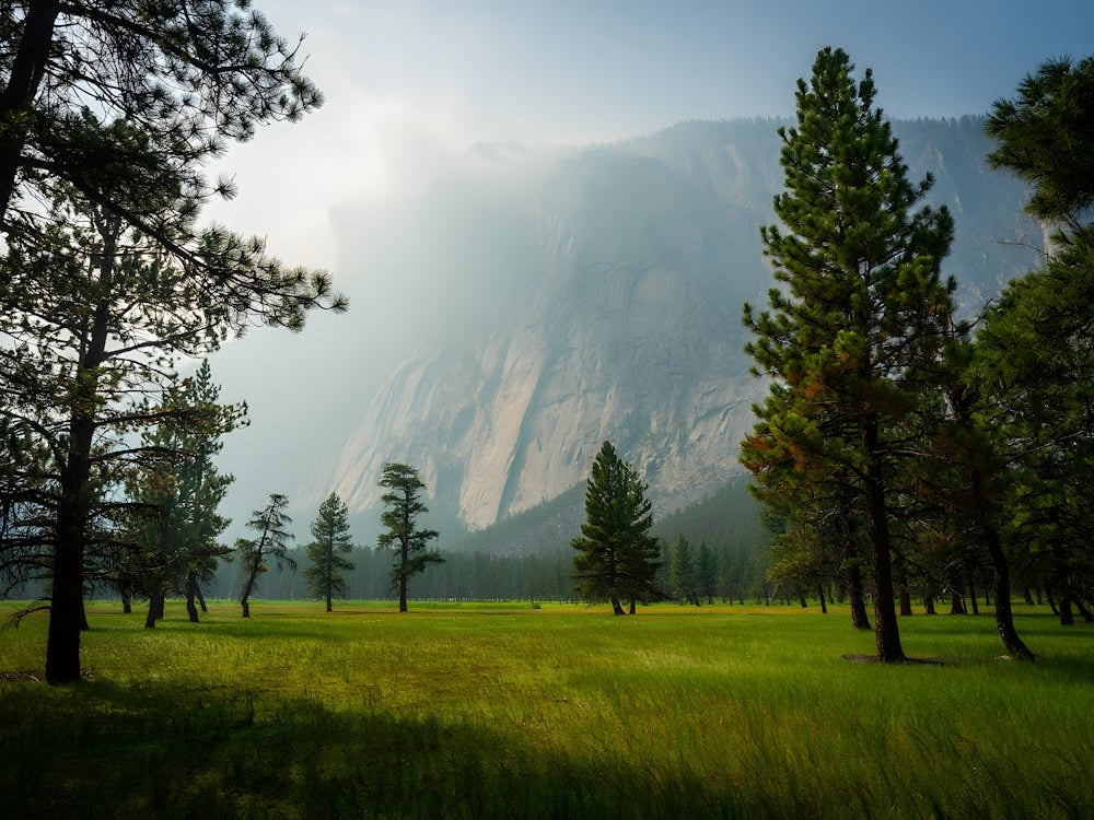 Yosemite National Park