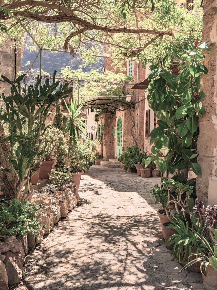 Alleyway In The Old Town Spain