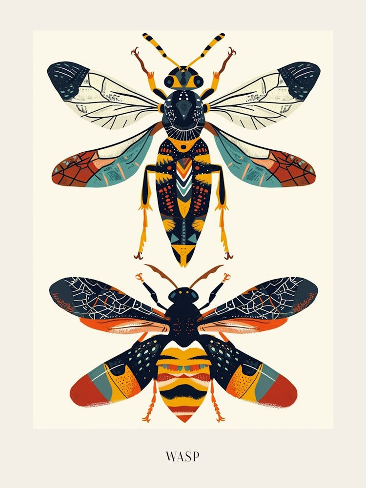 Colourful Insect Illustration Wasp 2 Poster
