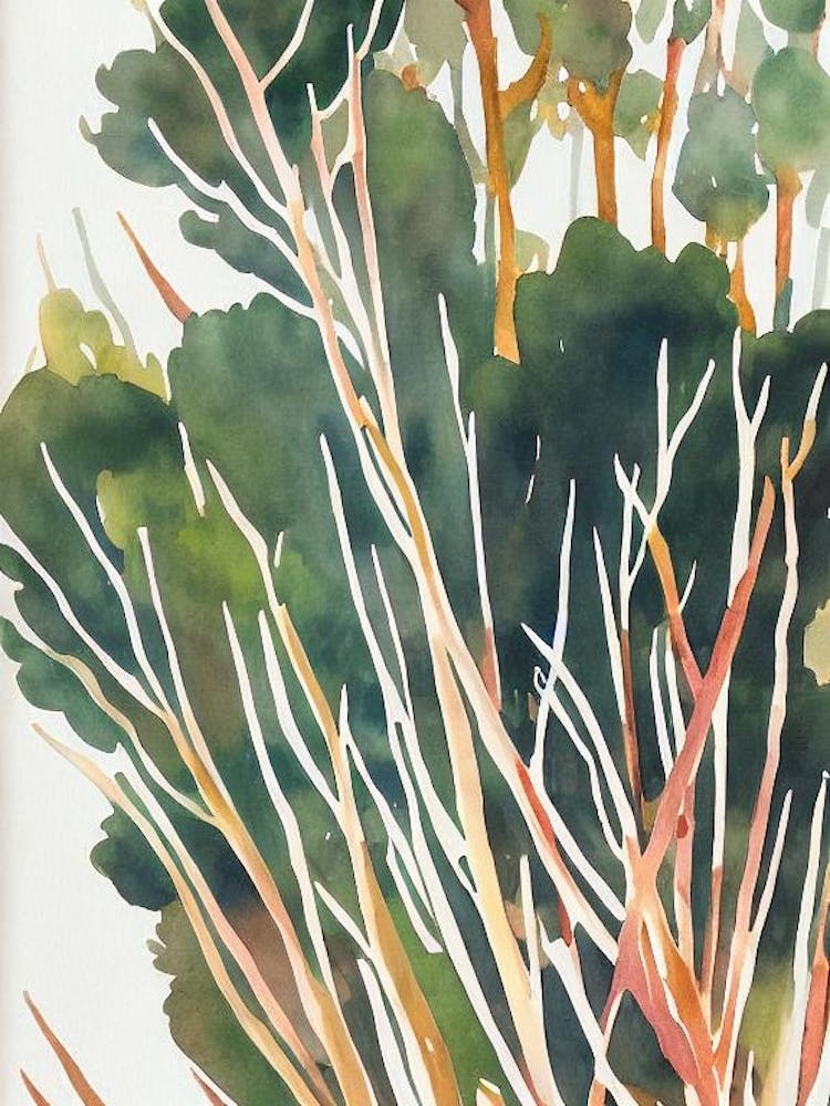 Acropora Aculeus Vintage Graphic Watercolour