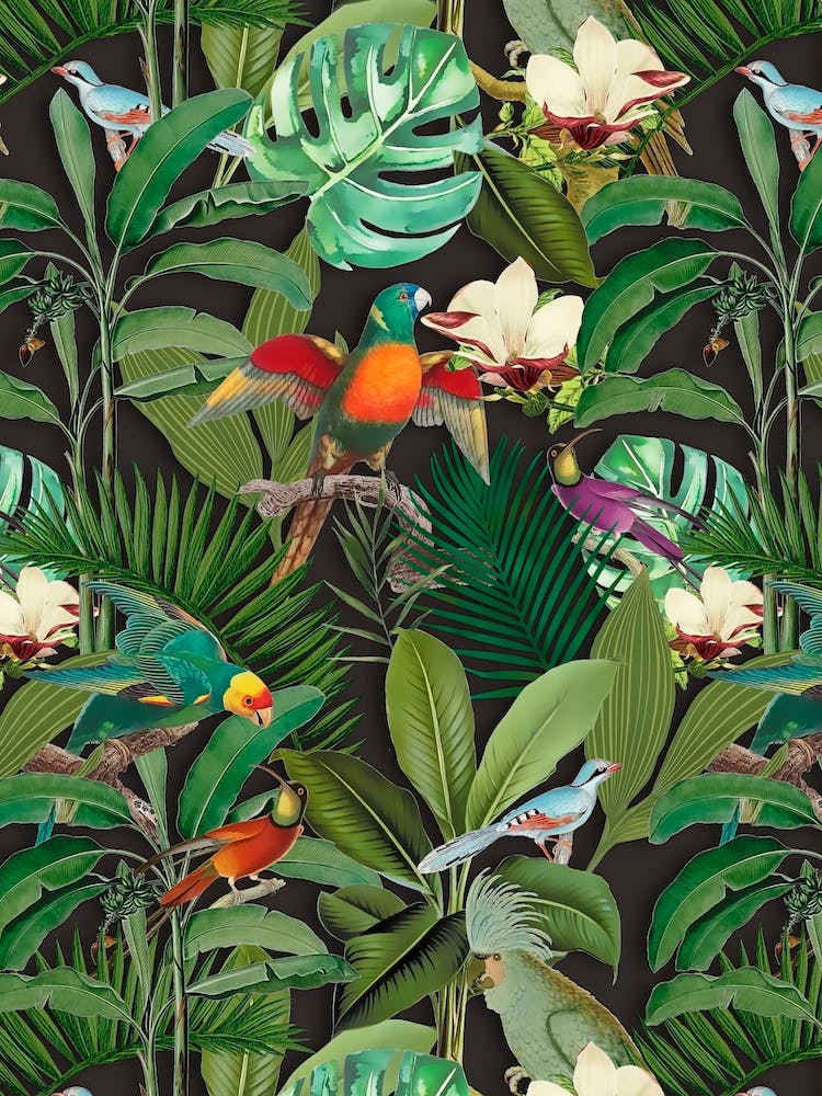 Tropical Jungle Birds