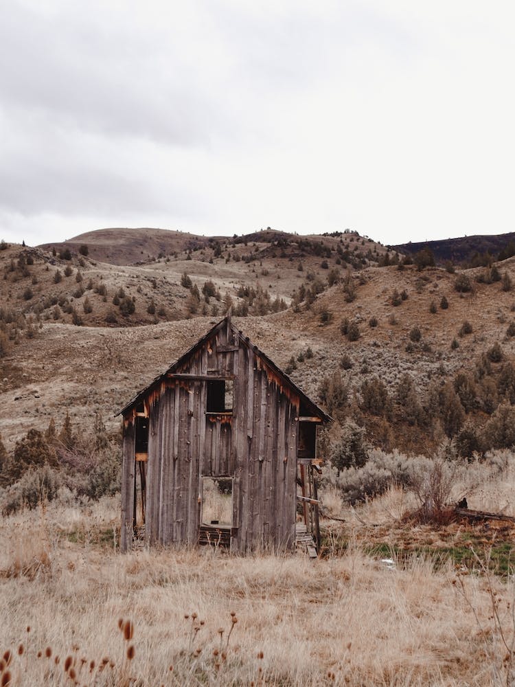 Gnarly Ranch Cabin
