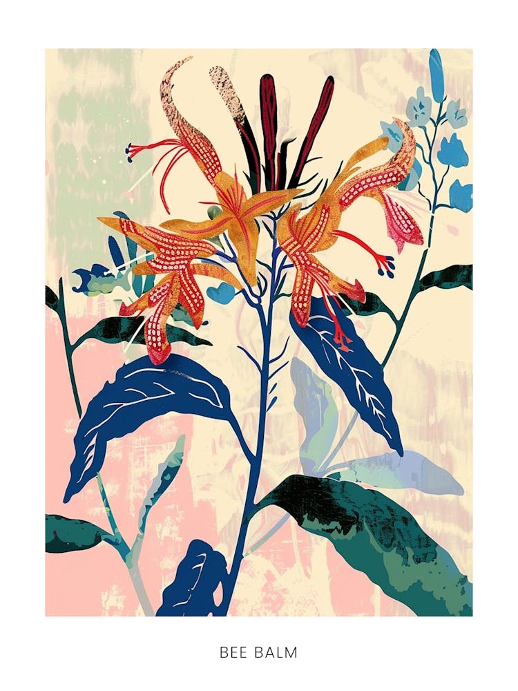 Colourful Flower Illustration Poster Bee Balm 3