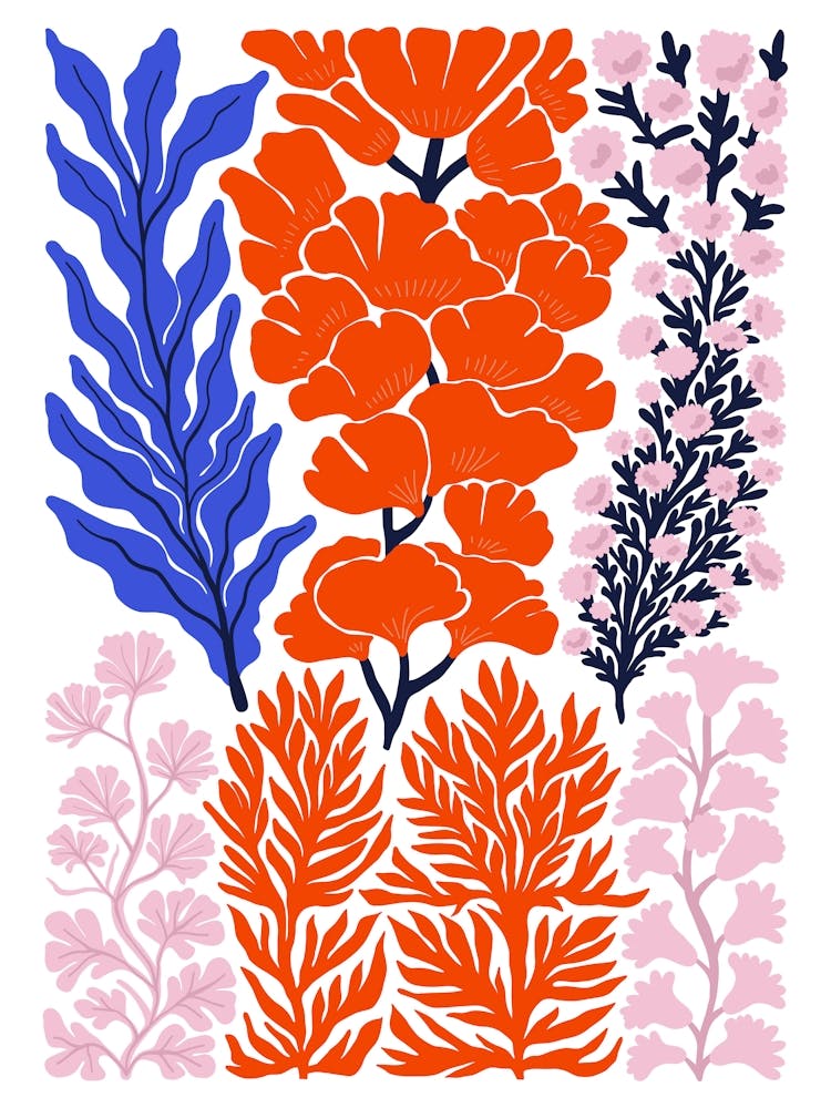Coral Reefs