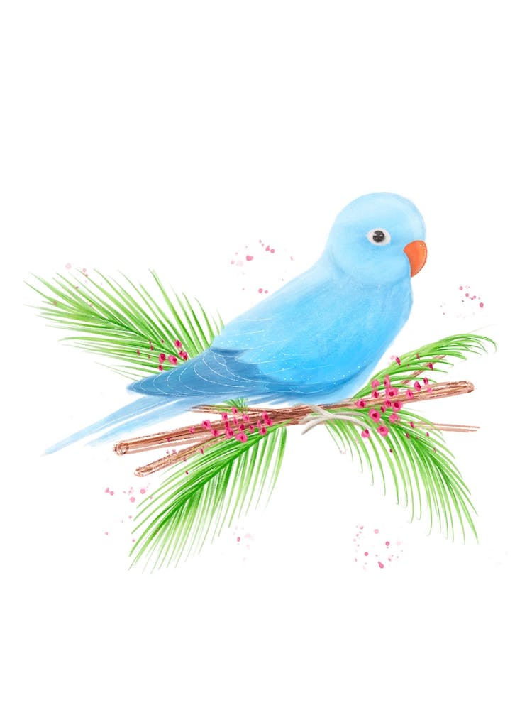 Blue Bird