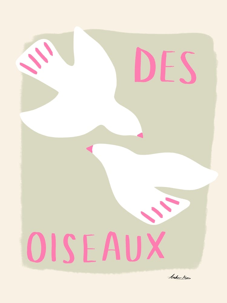 Des Oiseaux Vögel Rosa