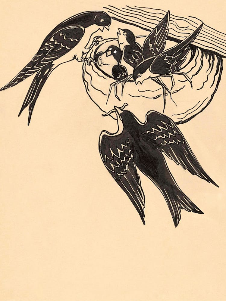 Birds Family