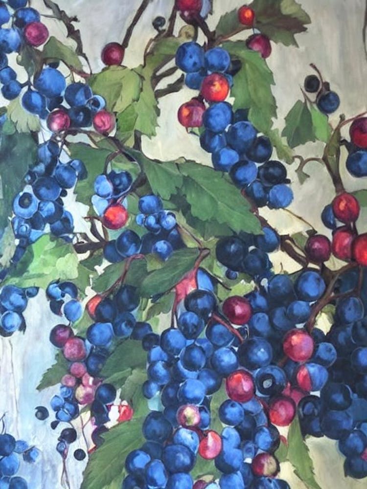 Blackcurrant Classic 3 Fruit