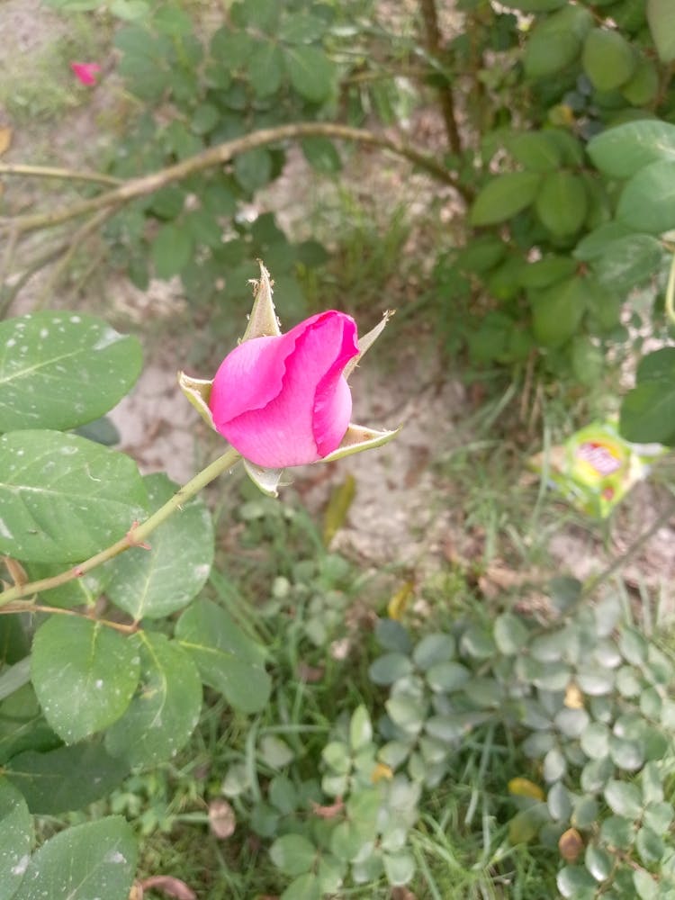 Img 20240328 090927 613