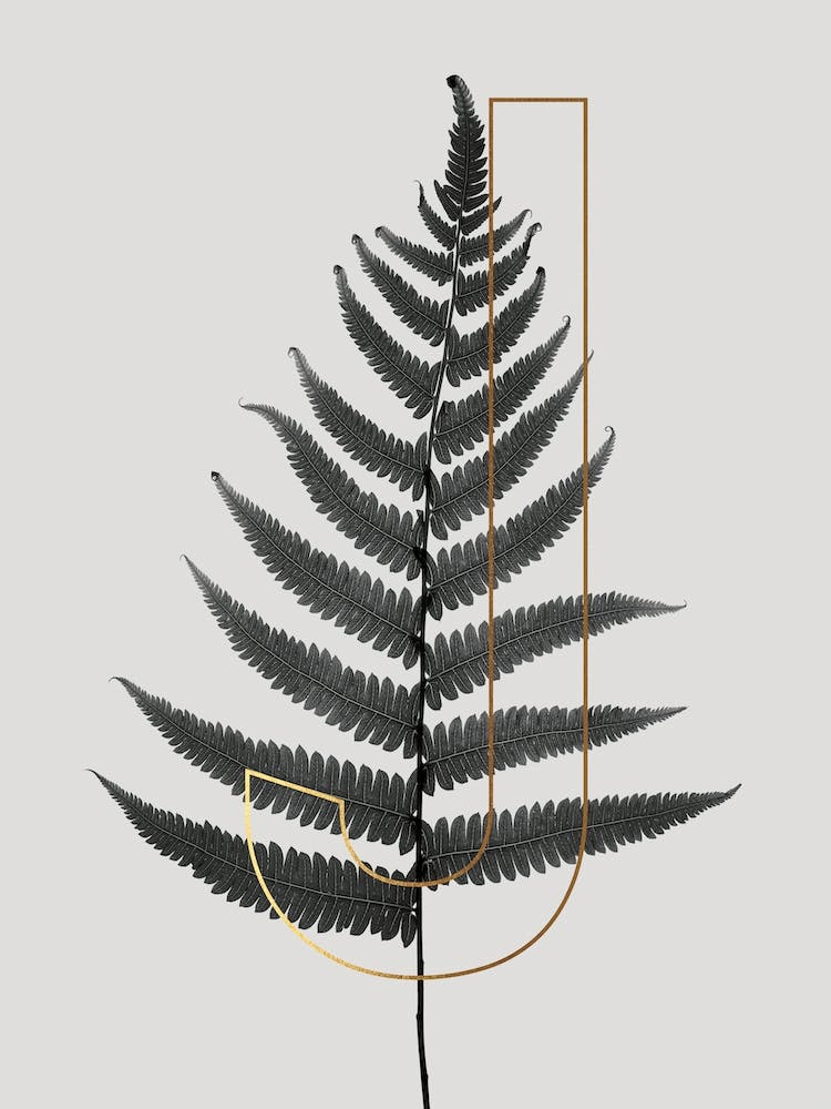 Abc Plant J