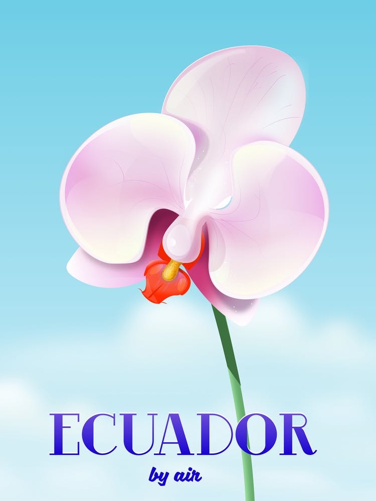 Ecuador By Air