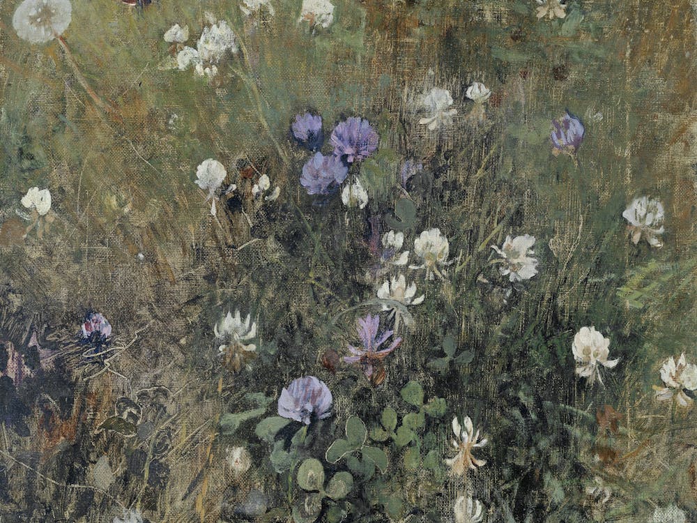 Wildflowers In A Field By Edward Henry