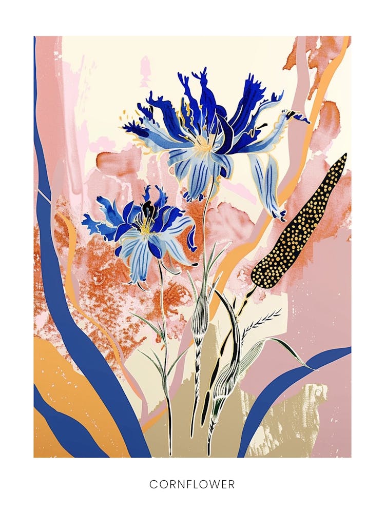 Colourful Flower Illustration Poster Cornflower 4
