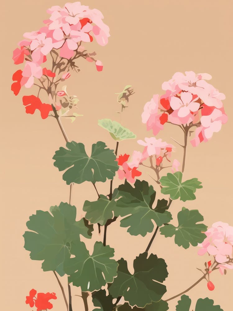 Geraniums Flower Big Bold Illustration 3