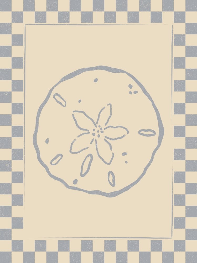 Sand Dollar with Checkered Border