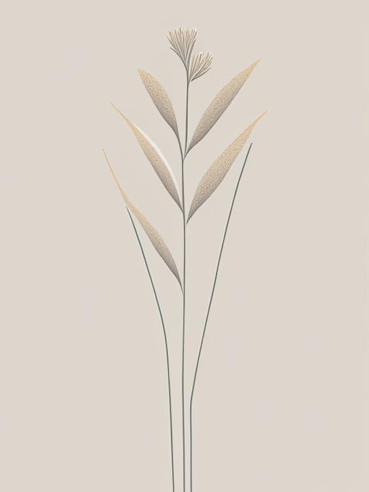 Psyllium Herb Simplicity