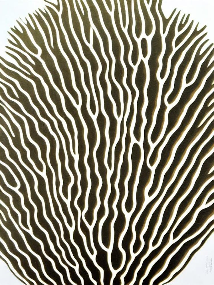 Acropora Clathrata Ii Linocut