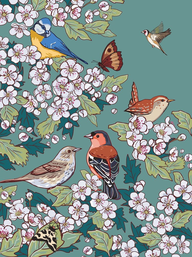 Hedgrow Birds And Hawthorn Blossom