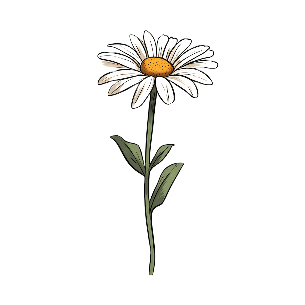 Marguerite