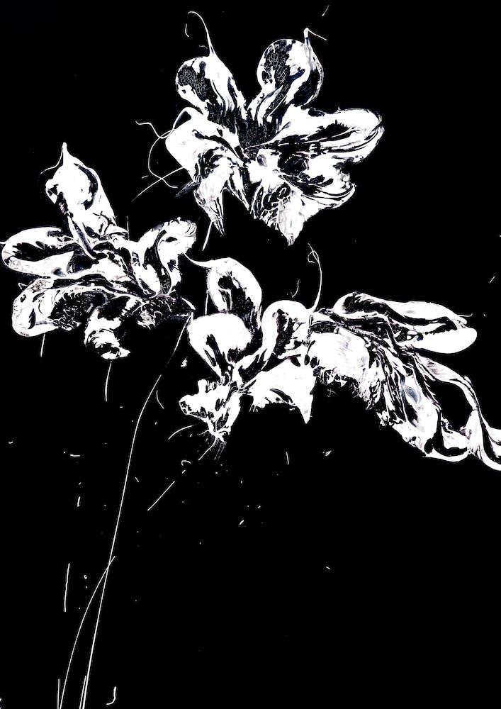White Flower Black Background Painting 2