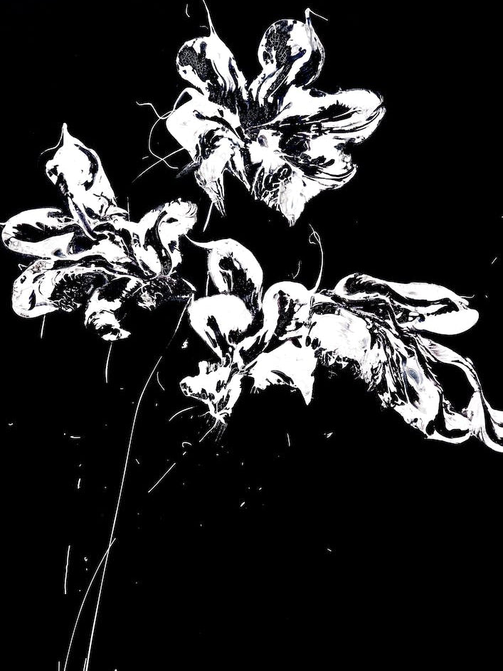 White Flower Black Background Painting 2
