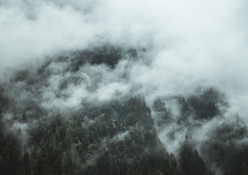 Misty Morning