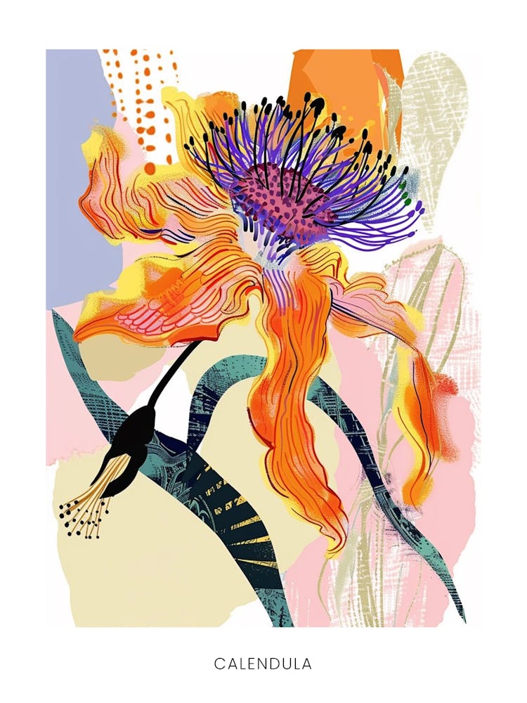 Colourful Flower Illustration Poster Calendula 1